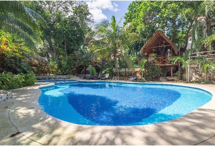 بلايا ديل كارمن Villa Belmare المكسيك